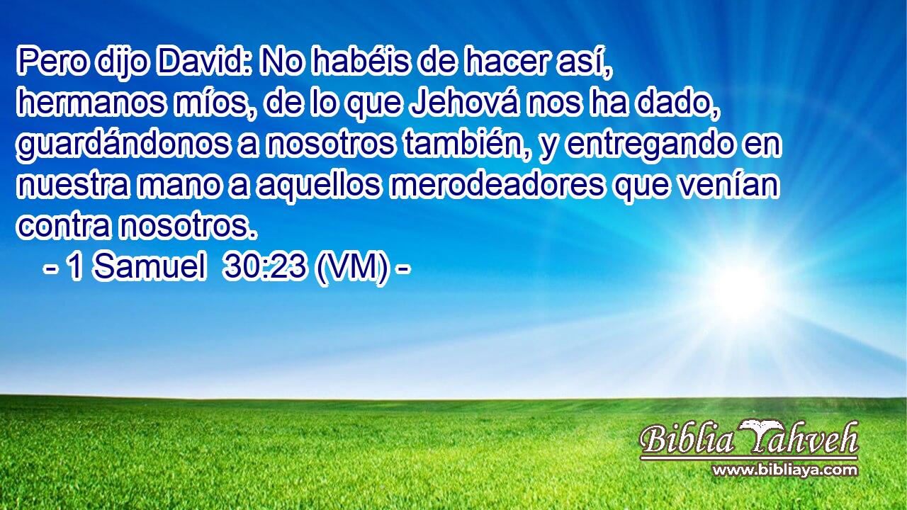  Pero dijo David: No habéis de hacer así, hermanos míos, de lo que Jehová nos ha dado, guardándonos a nosotros también, y entregando en nuestra mano a aquellos merodeadores que venían contra nosotros. 