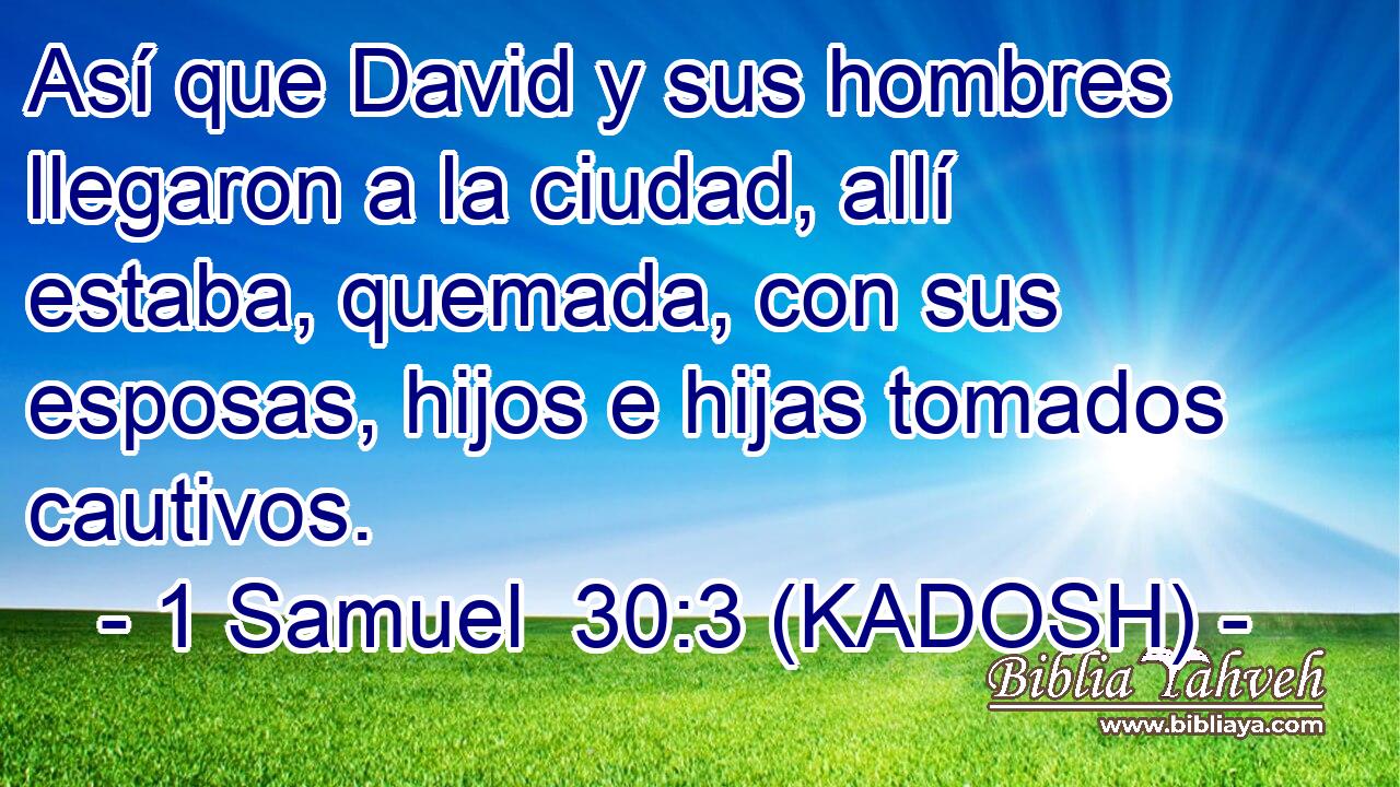  Así que David y sus hombres llegaron a la ciudad, allí estaba, quemada, con sus esposas, hijos e hijas tomados cautivos. 
