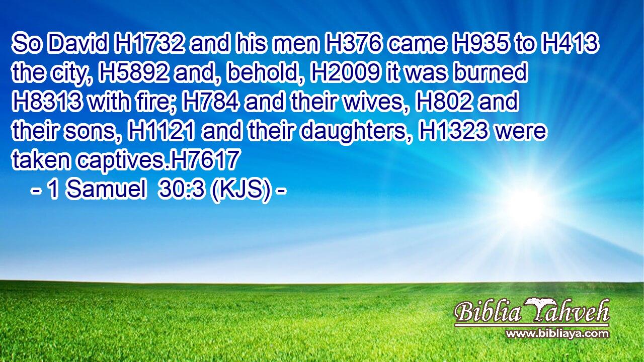 So David H1732 and his men H376 came H935 to H413 the city, H5892 and, behold, H2009 it was burned H8313 with fire; H784 and their wives, H802 and their sons, H1121 and their daughters, H1323 were taken captives.H7617