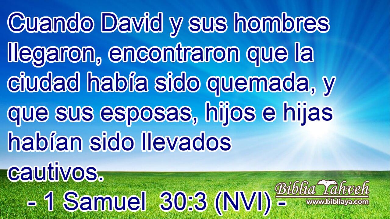  Cuando David y sus hombres llegaron, encontraron que la ciudad había sido quemada, y que sus esposas, hijos e hijas habían sido llevados cautivos. 