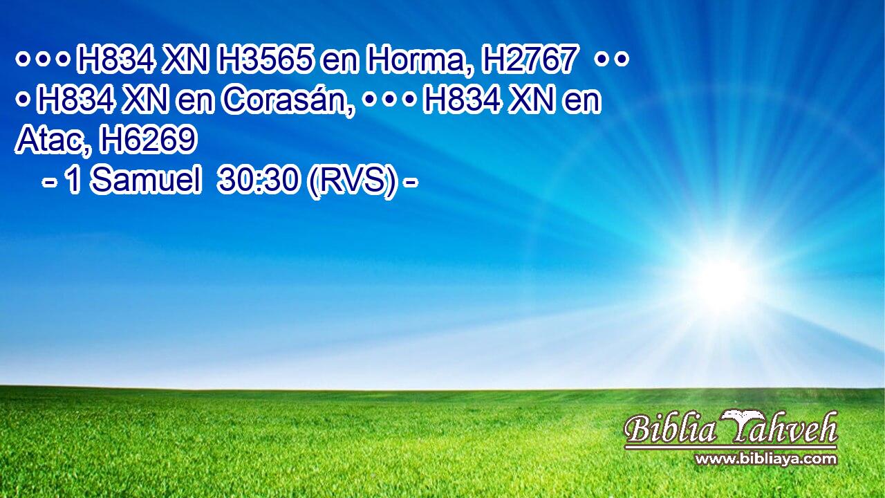 • • • H834 XN H3565 en Horma, H2767  • • • H834 XN en Corasán, • • • H834 XN en Atac, H6269  