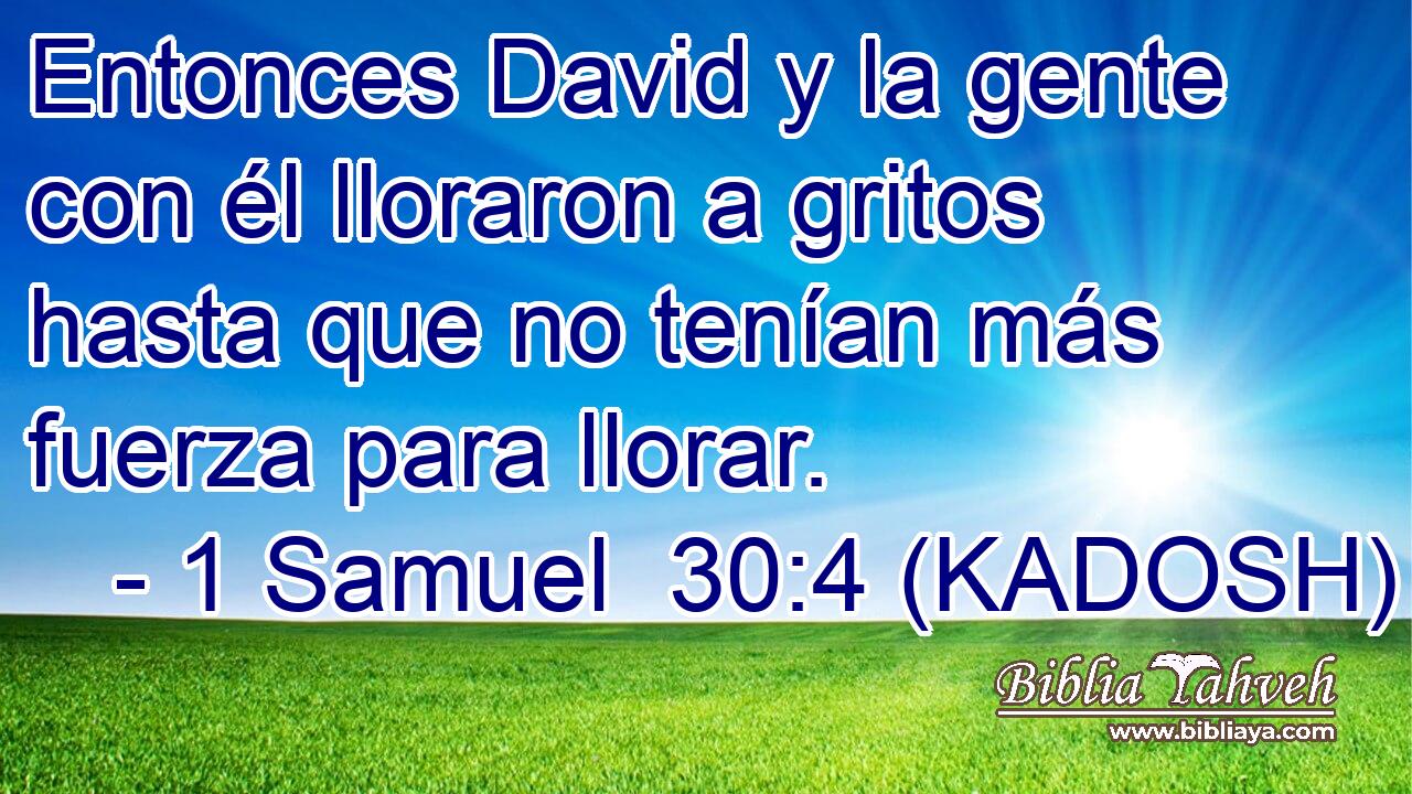  Entonces David y la gente con él lloraron a gritos hasta que no tenían más fuerza para llorar. 