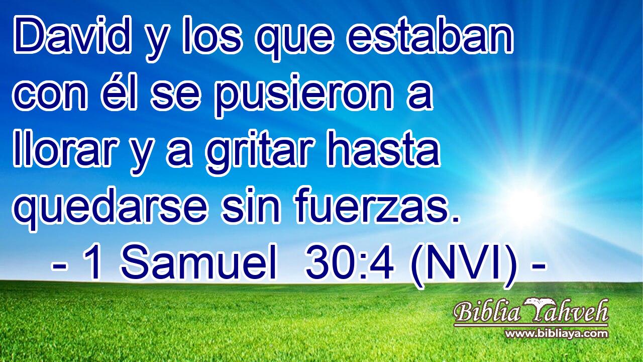  David y los que estaban con él se pusieron a llorar y a gritar hasta quedarse sin fuerzas. 