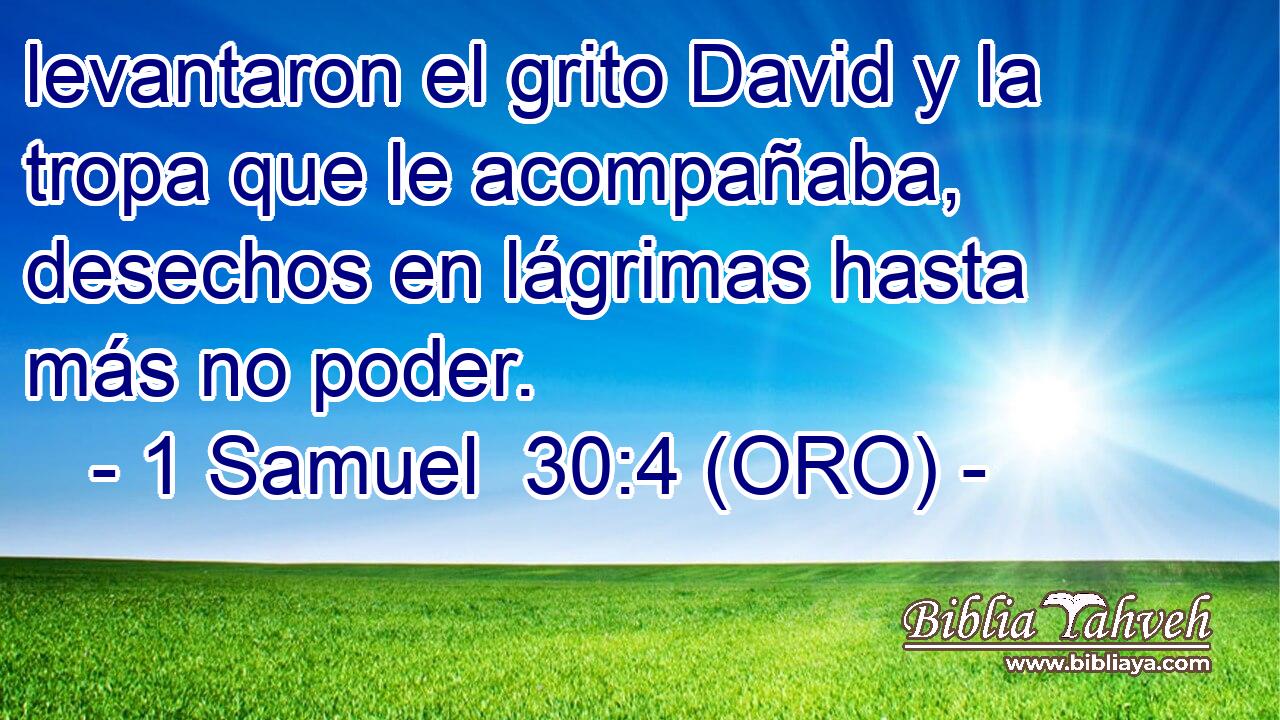  levantaron el grito David y la tropa que le acompañaba, desechos en lágrimas hasta más no poder. 