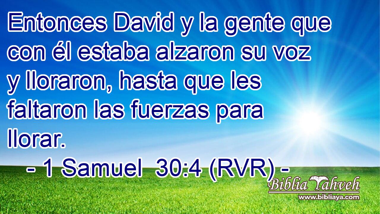 Entonces David y la gente que con él estaba alzaron su voz y lloraron, hasta que les faltaron las fuerzas para llorar.