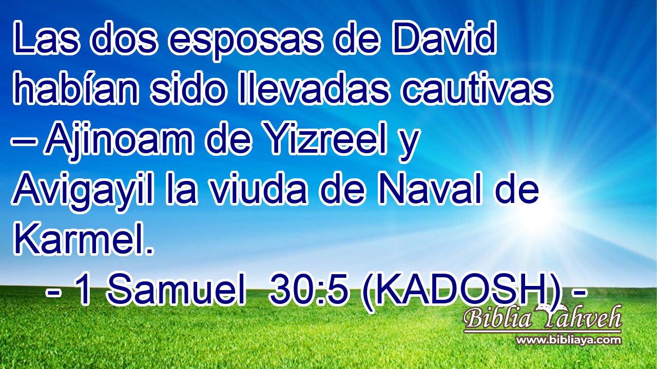  Las dos esposas de David habían sido llevadas cautivas – Ajinoam de Yizreel y Avigayil la viuda de Naval de Karmel. 