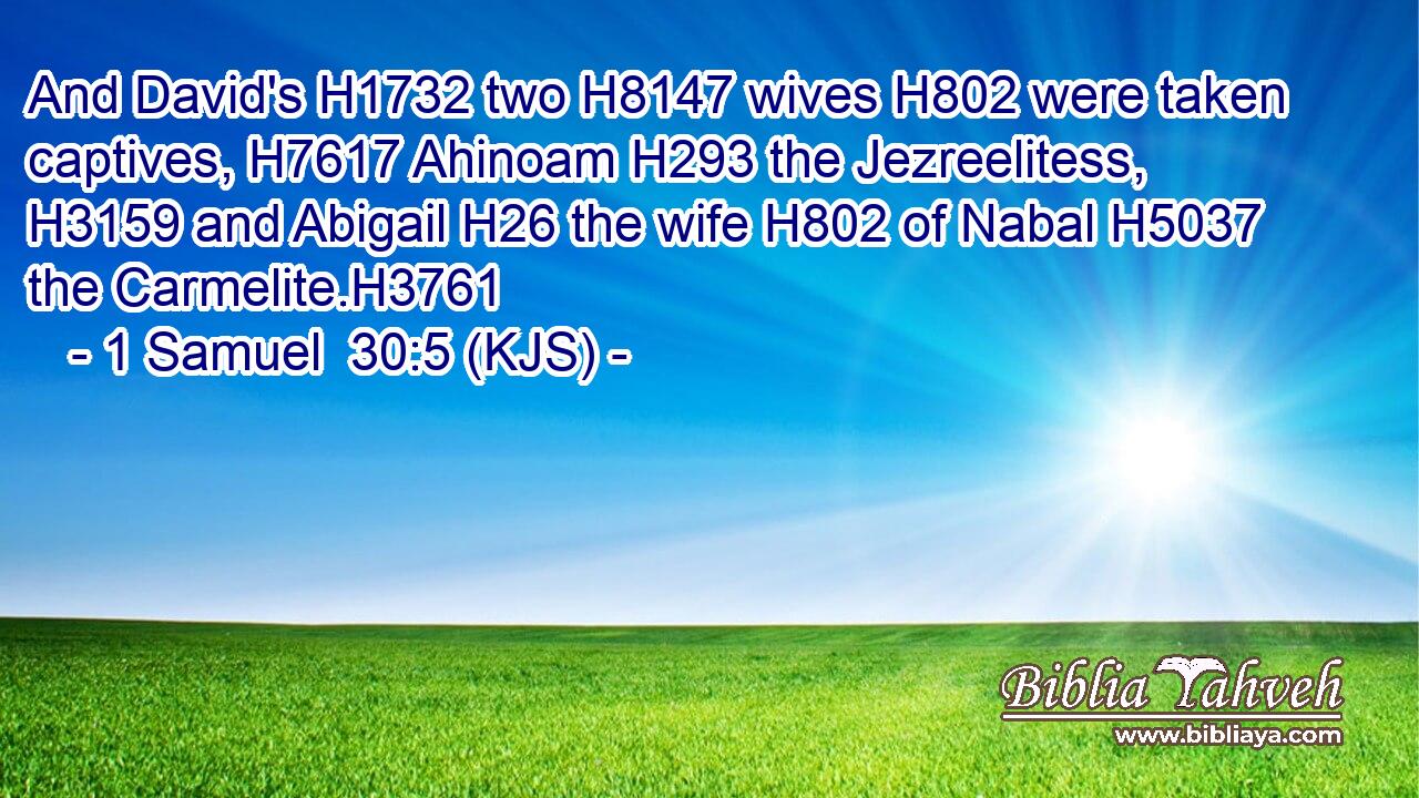 And David's H1732 two H8147 wives H802 were taken captives, H7617 Ahinoam H293 the Jezreelitess, H3159 and Abigail H26 the wife H802 of Nabal H5037 the Carmelite.H3761