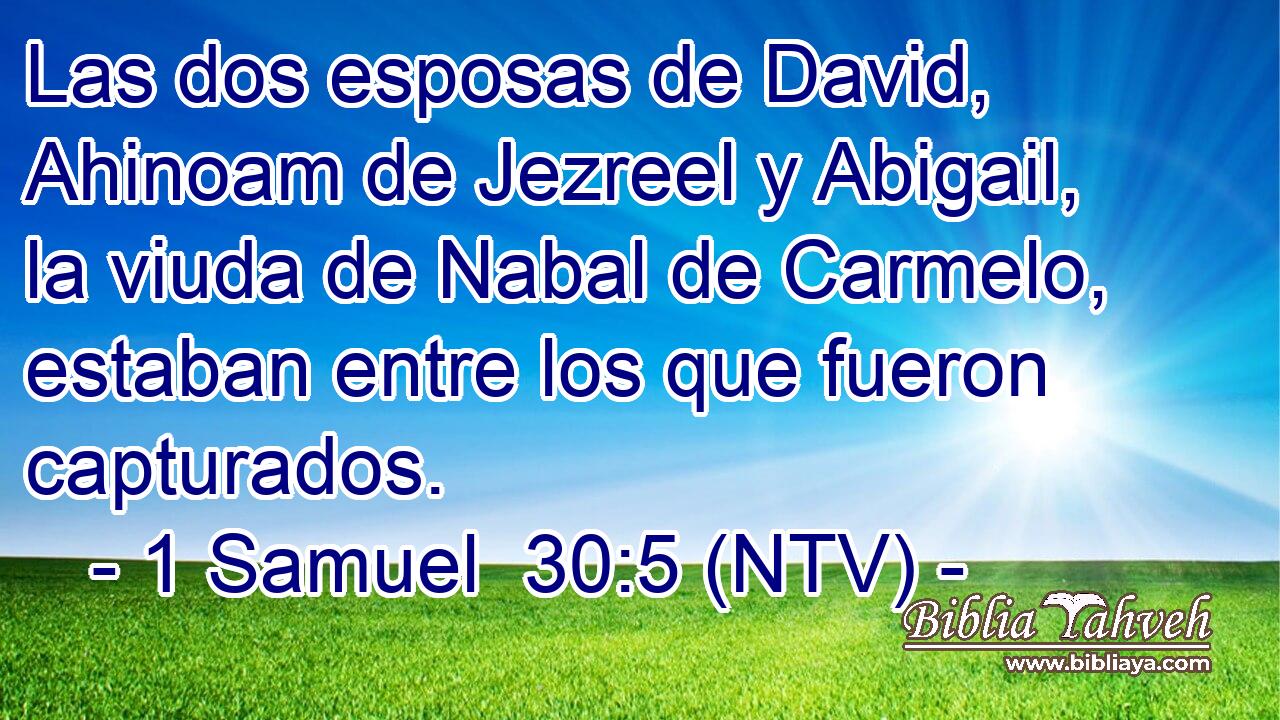 Las dos esposas de David, Ahinoam de Jezreel y Abigail, la viuda de Nabal de Carmelo, estaban entre los que fueron capturados.