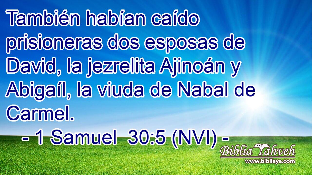  También habían caído prisioneras dos esposas de David, la jezrelita Ajinoán y Abigaíl, la viuda de Nabal de Carmel. 