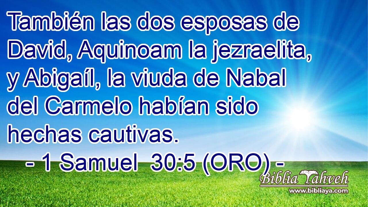  También las dos esposas de David, Aquinoam la jezraelita, y Abigaíl, la viuda de Nabal del Carmelo habían sido hechas cautivas. 