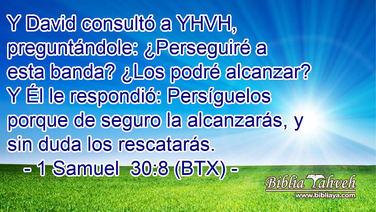 Y David consultó a YHVH, preguntándole: ¿Perseguiré a esta banda? ¿Los podré alcanzar? Y Él le respondió: Persíguelos porque de seguro la alcanzarás, y sin duda los rescatarás.