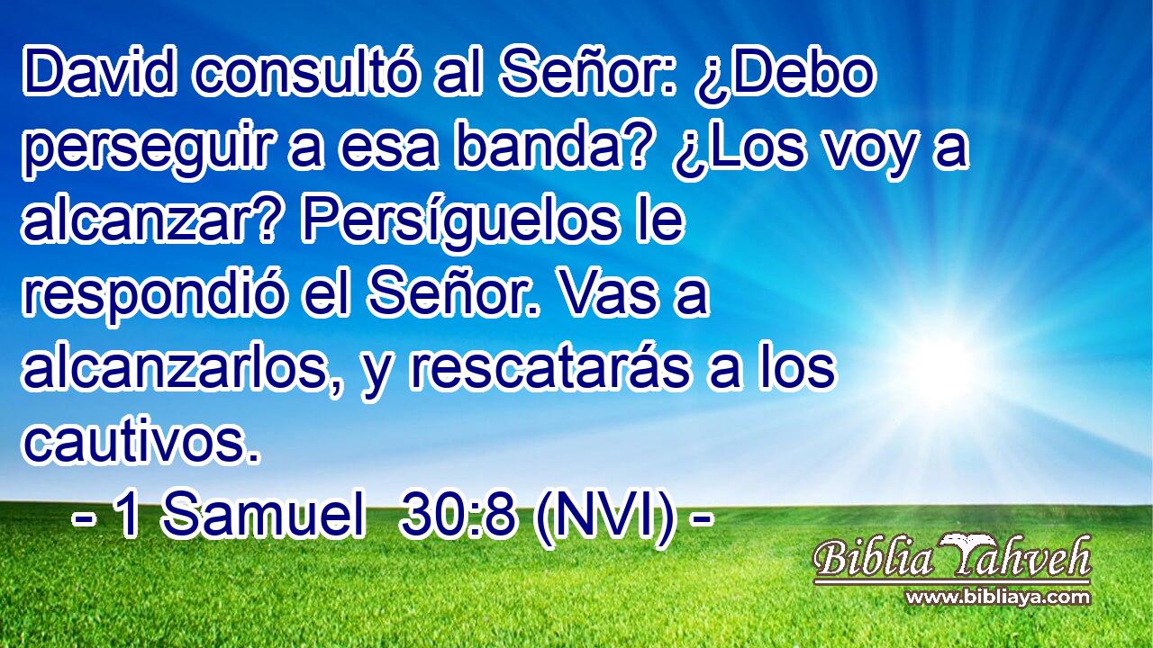  David consultó al Señor: ¿Debo perseguir a esa banda? ¿Los voy a alcanzar? Persíguelos le respondió el Señor. Vas a alcanzarlos, y rescatarás a los cautivos. 