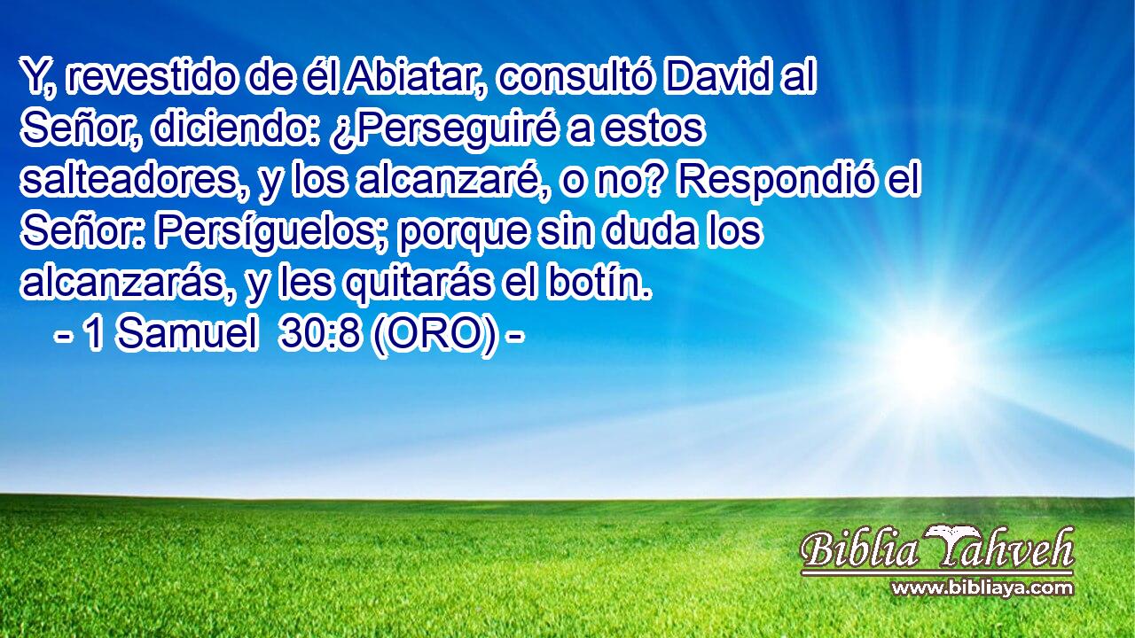  Y, revestido de él Abiatar, consultó David al Señor, diciendo: ¿Perseguiré a estos salteadores, y los alcanzaré, o no? Respondió el Señor: Persíguelos; porque sin duda los alcanzarás, y les quitarás el botín. 