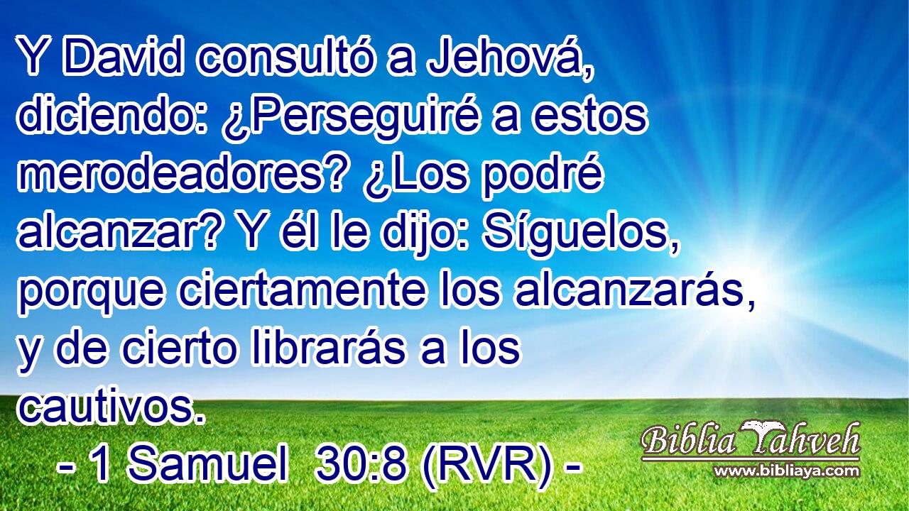 Y David consultó a Jehová, diciendo: ¿Perseguiré a estos merodeadores? ¿Los podré alcanzar? Y él le dijo: Síguelos, porque ciertamente los alcanzarás, y de cierto librarás a los cautivos.