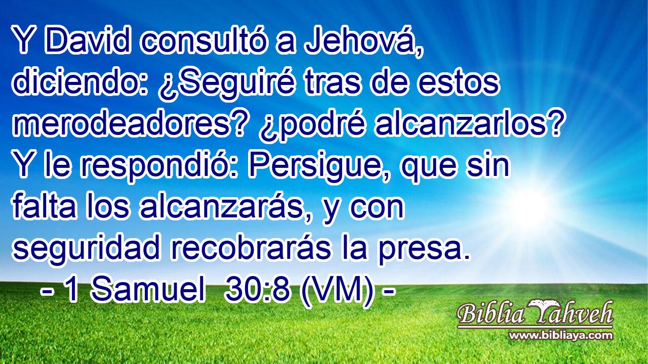  Y David consultó a Jehová, diciendo: ¿Seguiré tras de estos merodeadores? ¿podré alcanzarlos? Y le respondió: Persigue, que sin falta los alcanzarás, y con seguridad recobrarás la presa. 