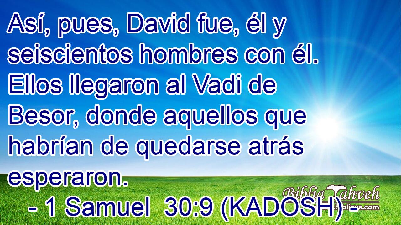  Así, pues, David fue, él y seiscientos hombres con él. Ellos llegaron al Vadi de Besor, donde aquellos que habrían de quedarse atrás esperaron. 