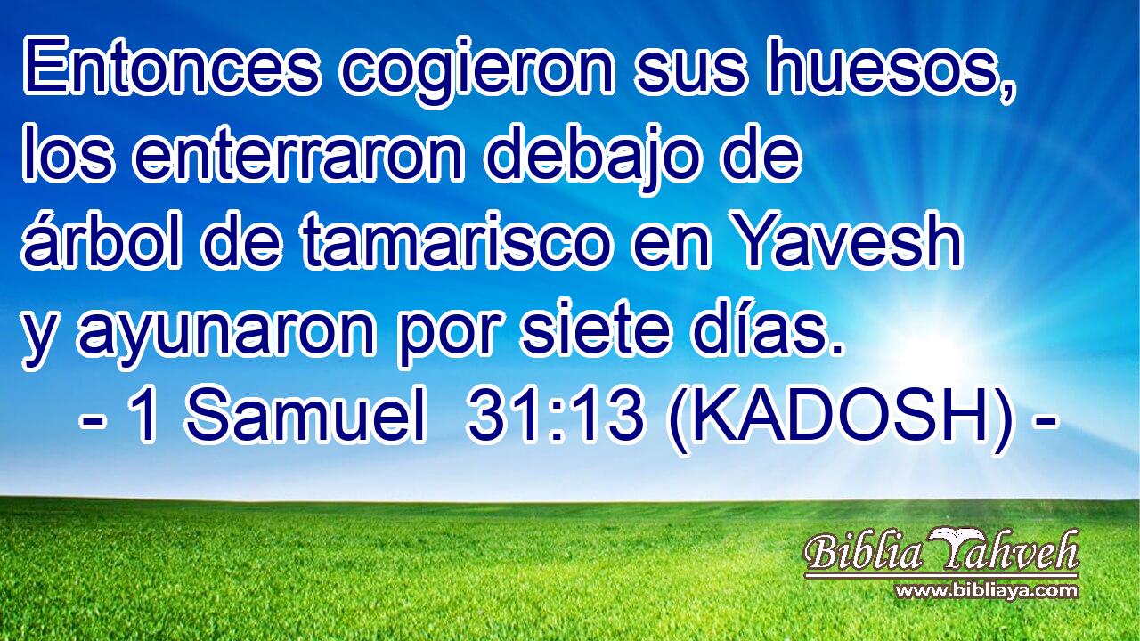 Entonces cogieron sus huesos, los enterraron debajo de árbol de tamarisco en Yavesh y ayunaron por siete días. 