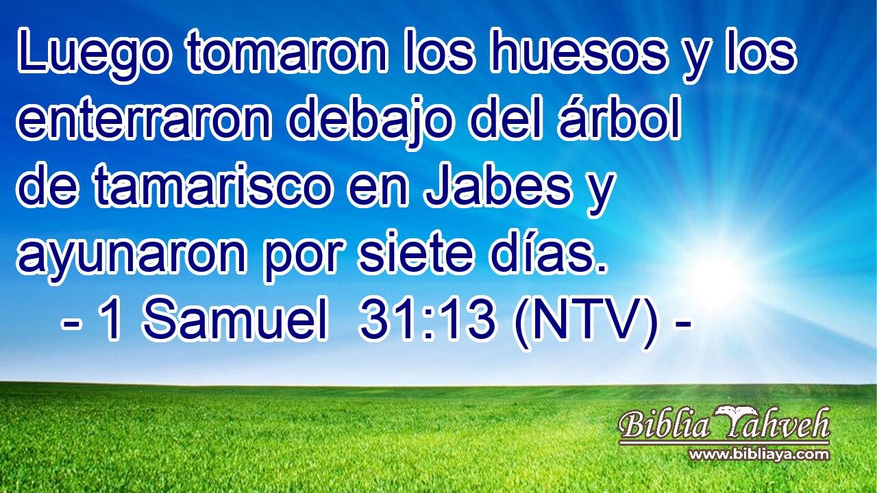 Luego tomaron los huesos y los enterraron debajo del árbol de tamarisco en Jabes y ayunaron por siete días.
