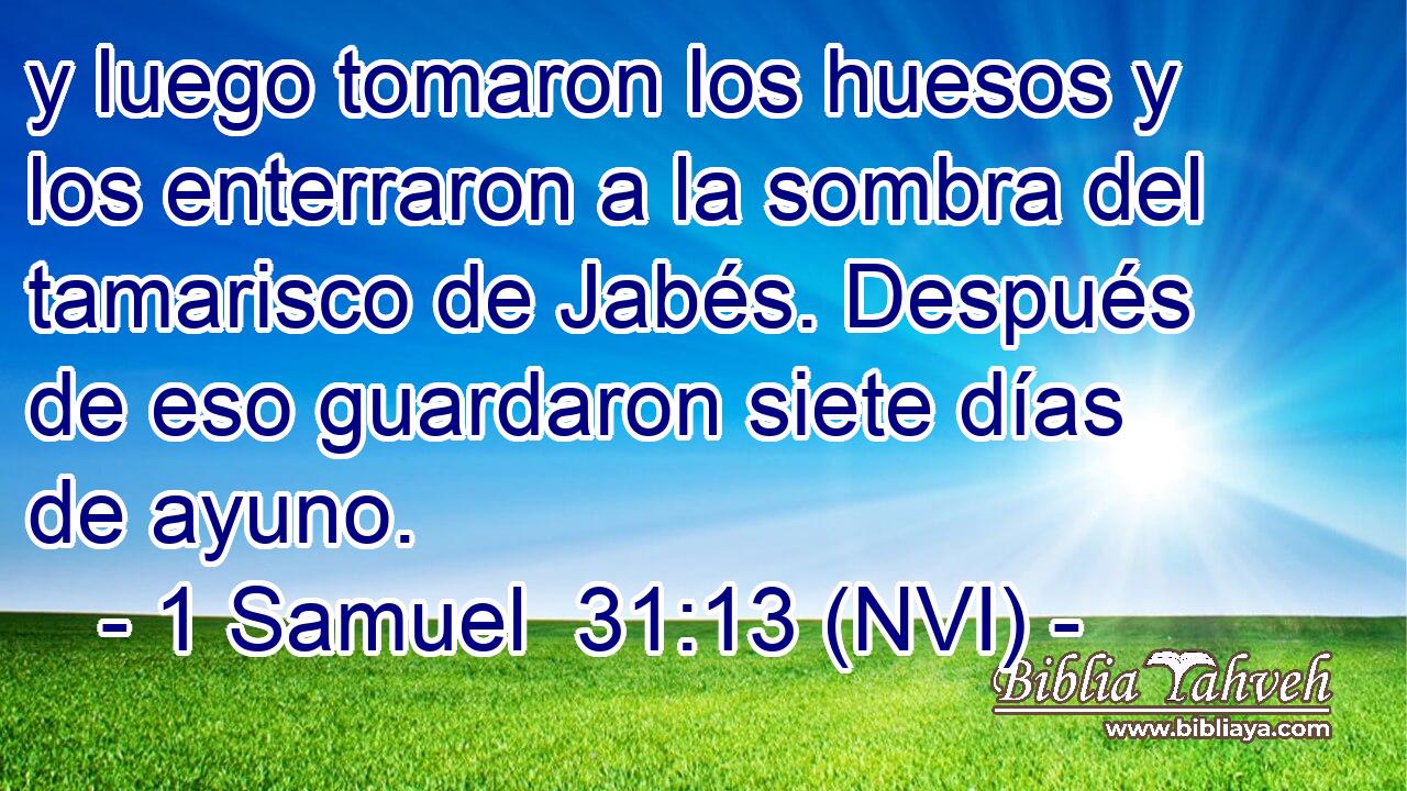  y luego tomaron los huesos y los enterraron a la sombra del tamarisco de Jabés. Después de eso guardaron siete días de ayuno. 