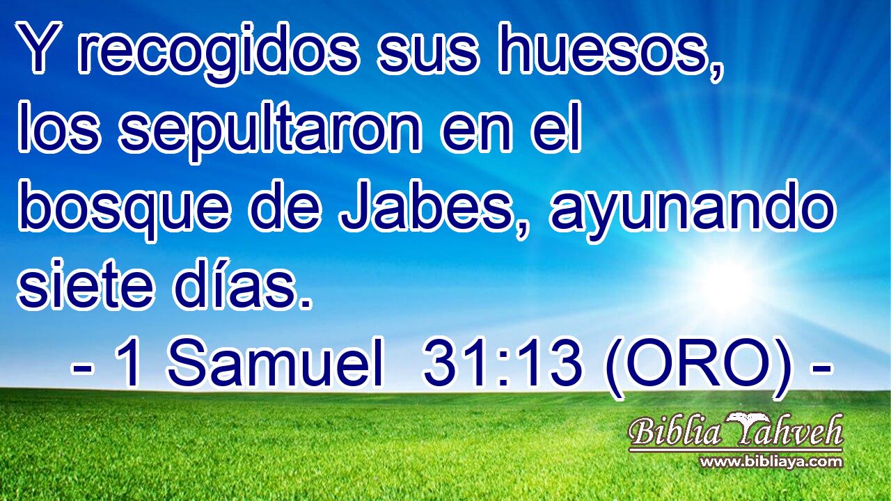  Y recogidos sus huesos, los sepultaron en el bosque de Jabes, ayunando siete días. 