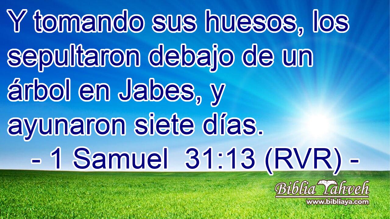 Y tomando sus huesos, los sepultaron debajo de un árbol en Jabes, y ayunaron siete días.