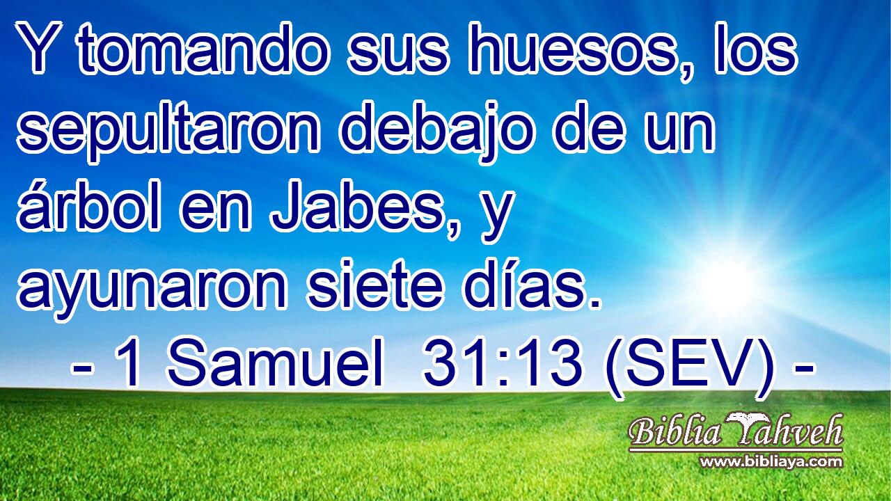 Y tomando sus huesos, los sepultaron debajo de un árbol en Jabes, y ayunaron siete días.