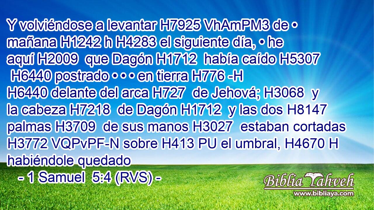 Y volviéndose a levantar H7925 VhAmPM3 de • mañana H1242 h H4283 el siguiente día, • he aquí H2009  que Dagón H1712  había caído H5307  H6440 postrado • • • en tierra H776 -H H6440 delante del arca H727  de Jehová; H3068  y la cabeza H7218  de Dagón H1712  y las dos H8147  palmas H3709  de sus manos H3027  estaban cortadas H3772 VQPvPF-N sobre H413 PU el umbral, H4670 H habiéndole quedado 