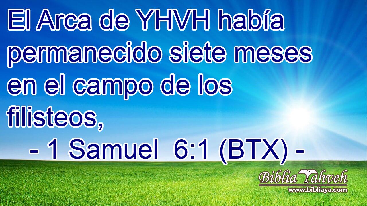 El Arca de YHVH había permanecido siete meses en el campo de los filisteos,