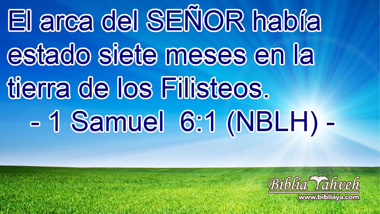  El arca del SEÑOR había estado siete meses en la tierra de los Filisteos. 