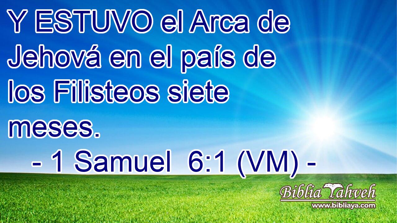  Y ESTUVO el Arca de Jehová en el país de los Filisteos siete meses. 