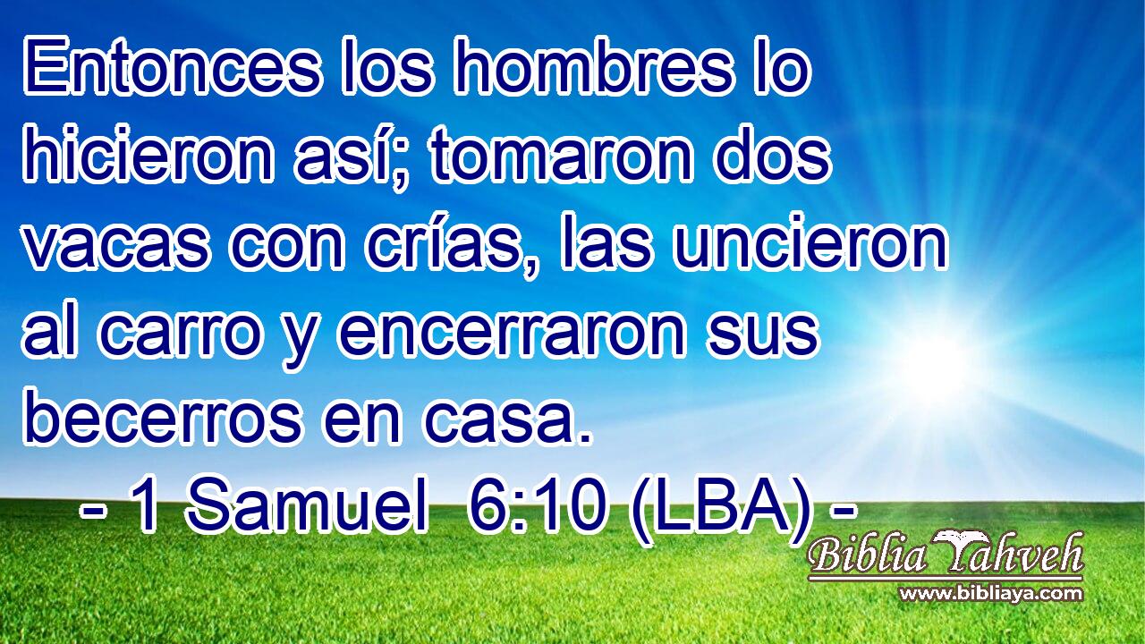Entonces los hombres lo hicieron así; tomaron dos vacas con crías, las uncieron al carro y encerraron sus becerros en casa.
