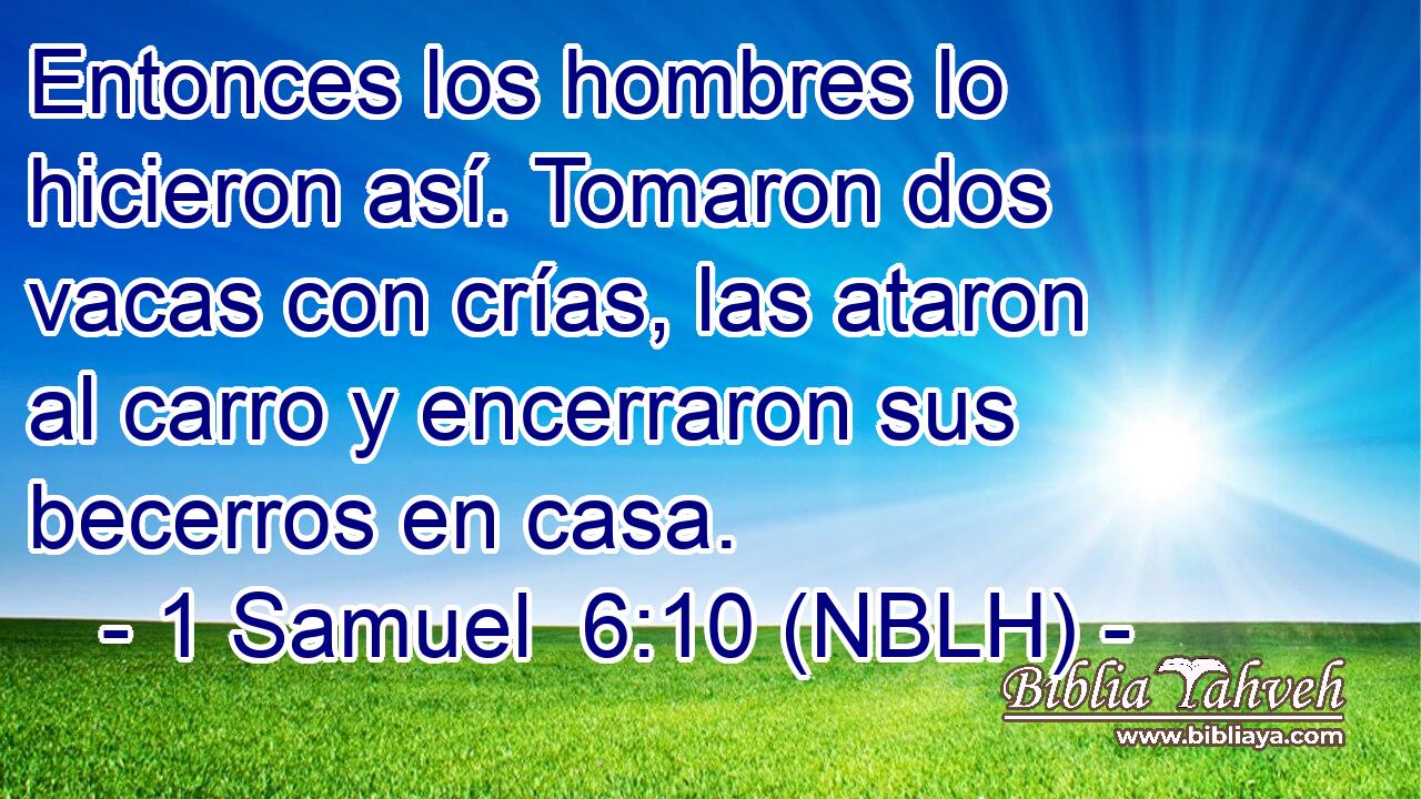  Entonces los hombres lo hicieron así. Tomaron dos vacas con crías, las ataron al carro y encerraron sus becerros en casa. 