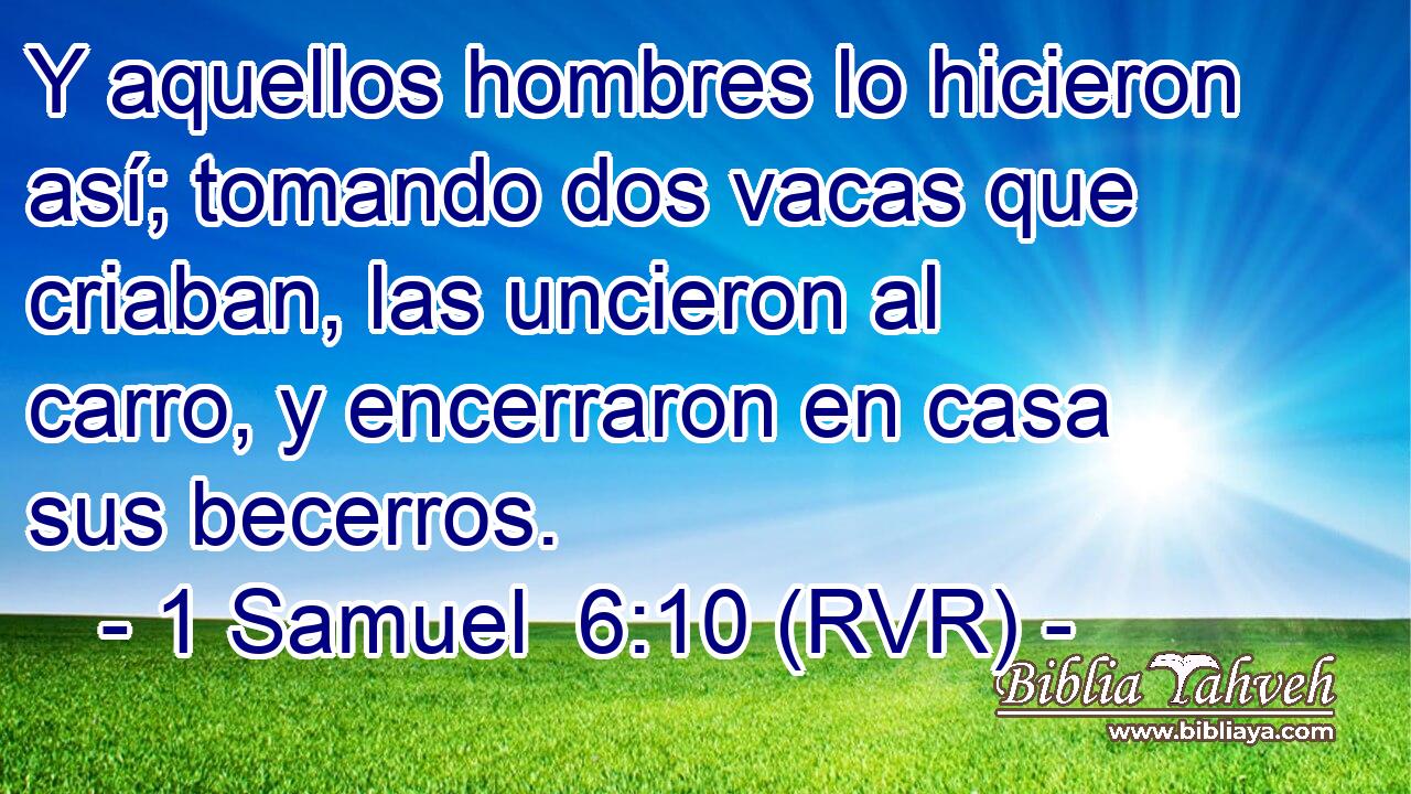 Y aquellos hombres lo hicieron así; tomando dos vacas que criaban, las uncieron al carro, y encerraron en casa sus becerros.