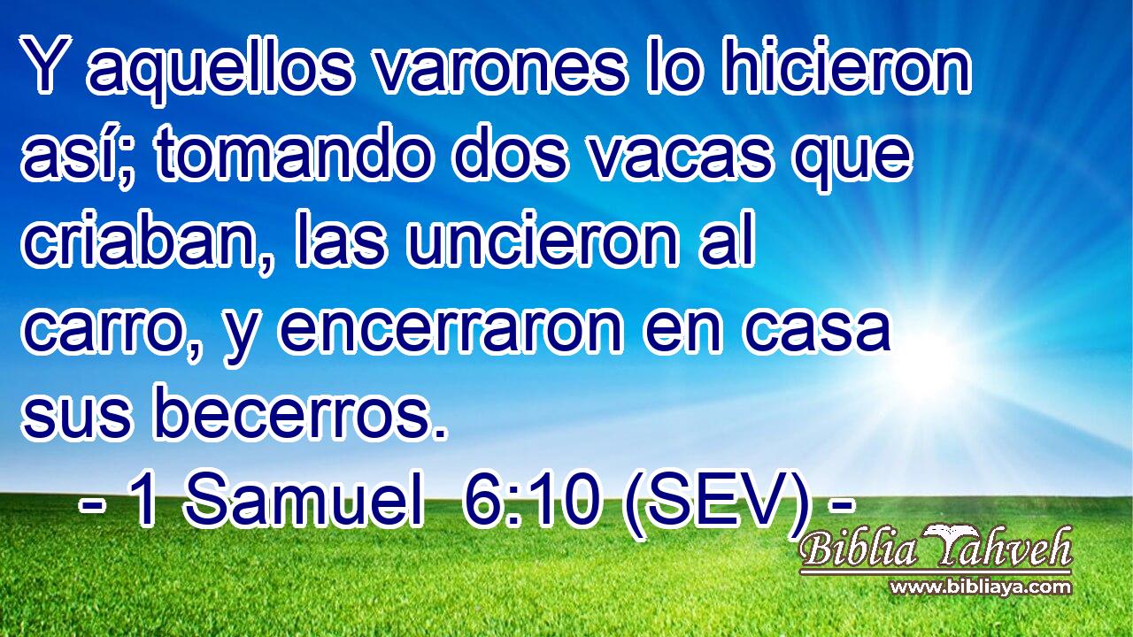 Y aquellos varones lo hicieron así; tomando dos vacas que criaban, las uncieron al carro, y encerraron en casa sus becerros.