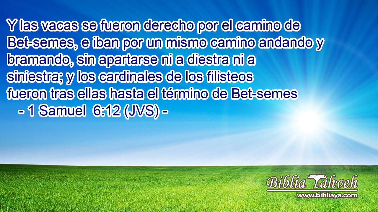 Y las vacas se fueron derecho por el camino de Bet-semes, e iban por un mismo camino andando y bramando, sin apartarse ni a diestra ni a siniestra; y los cardinales de los filisteos fueron tras ellas hasta el término de Bet-semes