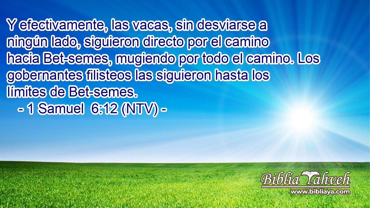 Y efectivamente, las vacas, sin desviarse a ningún lado, siguieron directo por el camino hacia Bet-semes, mugiendo por todo el camino. Los gobernantes filisteos las siguieron hasta los límites de Bet-semes.