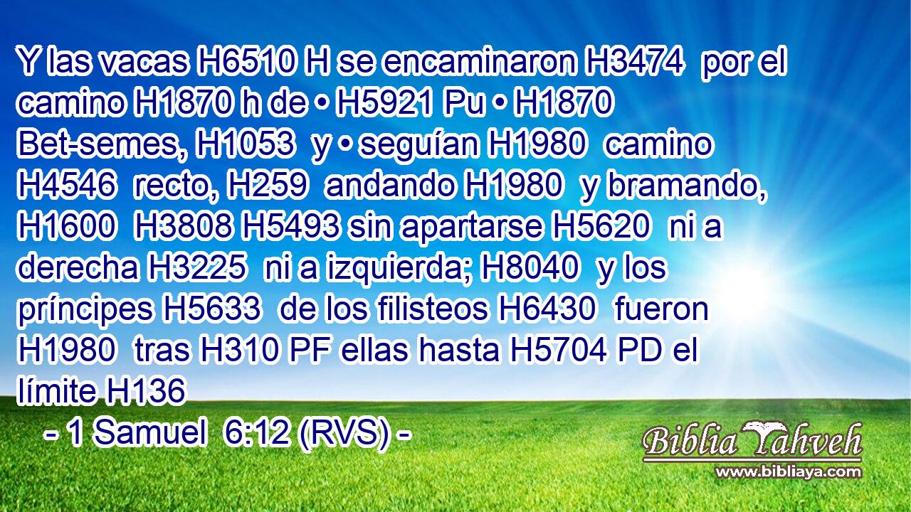 Y las vacas H6510 H se encaminaron H3474  por el camino H1870 h de • H5921 Pu • H1870  Bet-semes, H1053  y • seguían H1980  camino H4546  recto, H259  andando H1980  y bramando, H1600  H3808 H5493 sin apartarse H5620  ni a derecha H3225  ni a izquierda; H8040  y los príncipes H5633  de los filisteos H6430  fueron H1980  tras H310 PF ellas hasta H5704 PD el límite H136