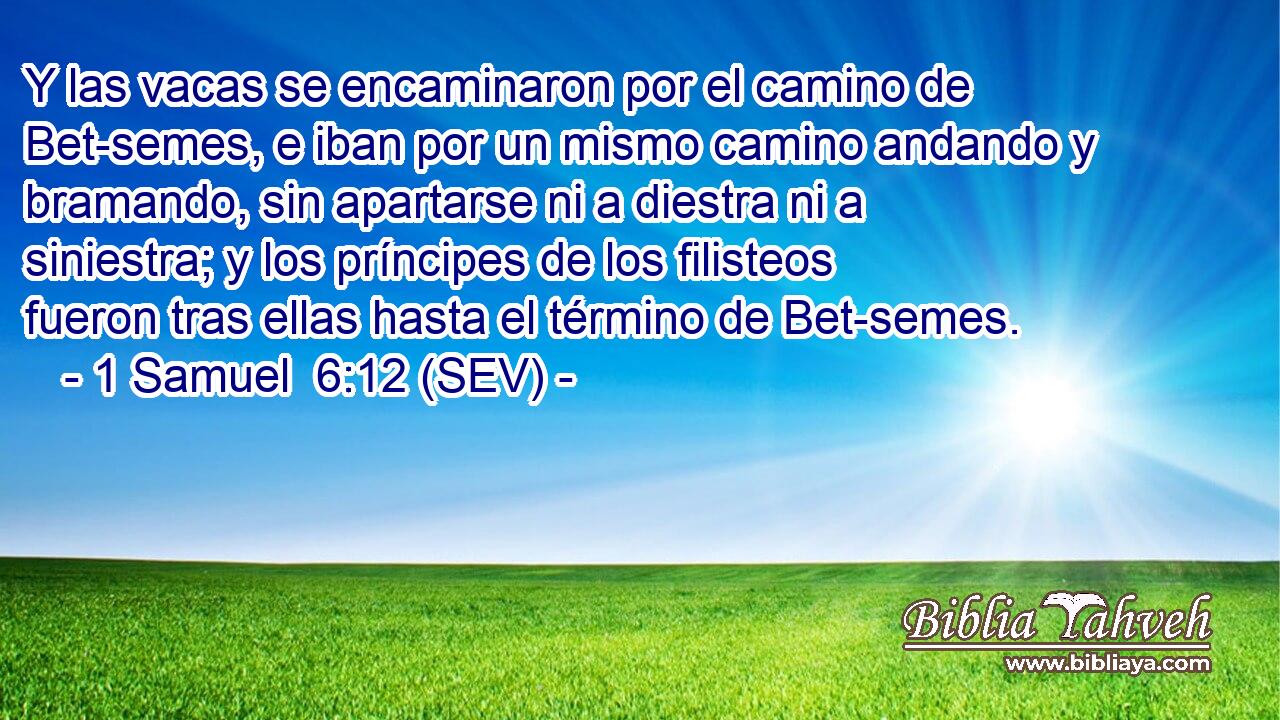 Y las vacas se encaminaron por el camino de Bet-semes, e iban por un mismo camino andando y bramando, sin apartarse ni a diestra ni a siniestra; y los príncipes de los filisteos fueron tras ellas hasta el término de Bet-semes.