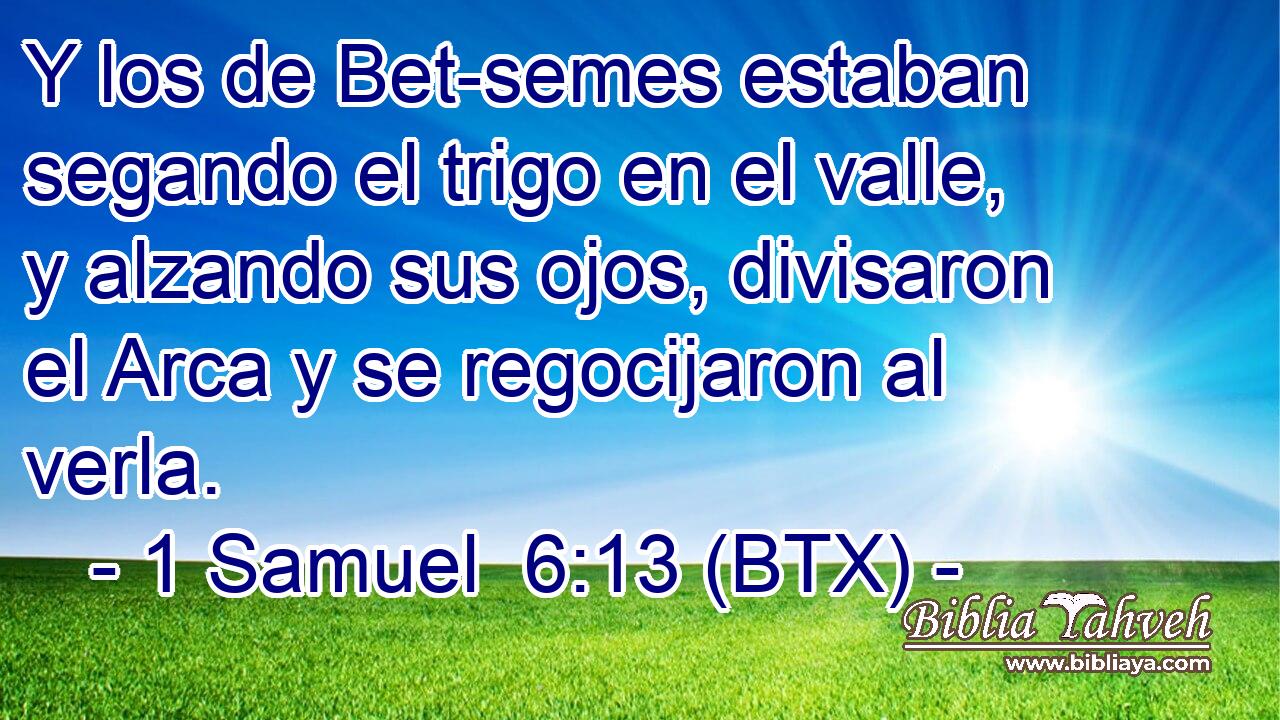 Y los de Bet-semes estaban segando el trigo en el valle, y alzando sus ojos, divisaron el Arca y se regocijaron al verla.
