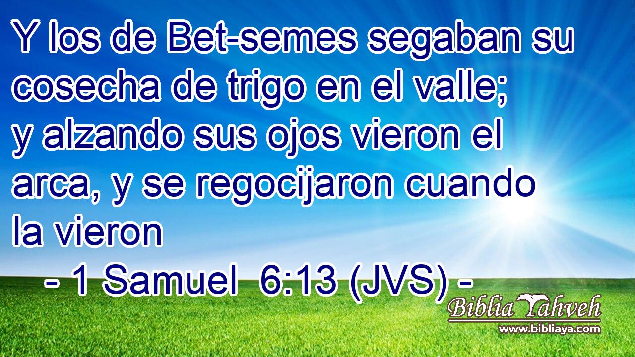 Y los de Bet-semes segaban su cosecha de trigo en el valle; y alzando sus ojos vieron el arca, y se regocijaron cuando la vieron