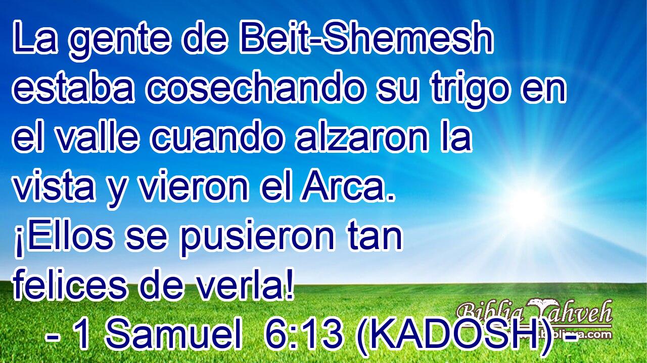  La gente de Beit-Shemesh estaba cosechando su trigo en el valle cuando alzaron la vista y vieron el Arca. ¡Ellos se pusieron tan felices de verla! 