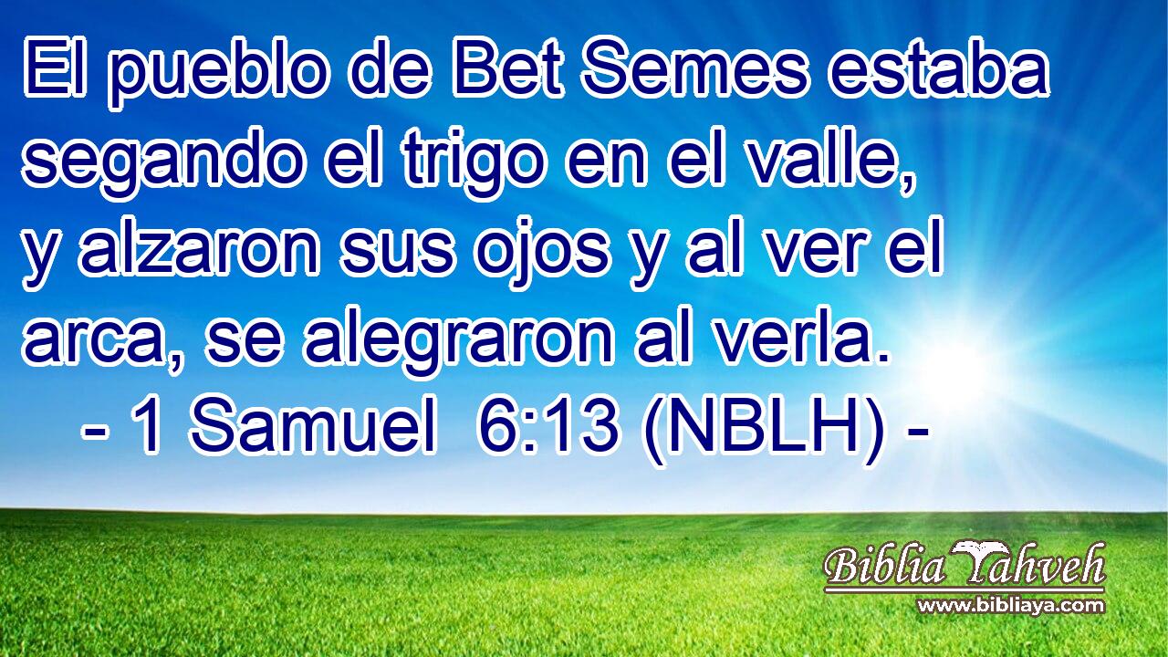  El pueblo de Bet Semes estaba segando el trigo en el valle, y alzaron sus ojos y al ver el arca, se alegraron al verla. 