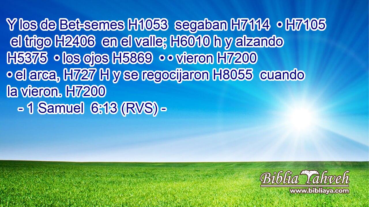 Y los de Bet-semes H1053  segaban H7114  • H7105  el trigo H2406  en el valle; H6010 h y alzando H5375  • los ojos H5869  • • vieron H7200  • el arca, H727 H y se regocijaron H8055  cuando la vieron. H7200  