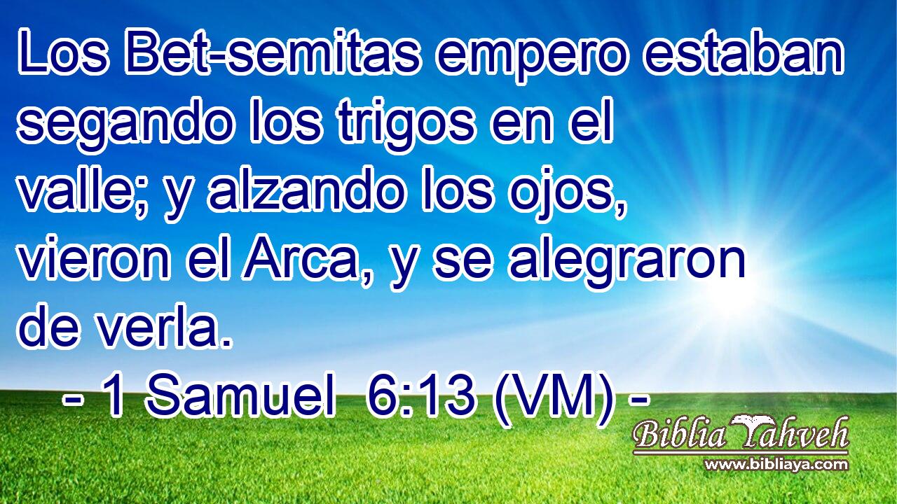 Los Bet-semitas empero estaban segando los trigos en el valle; y alzando los ojos, vieron el Arca, y se alegraron de verla. 