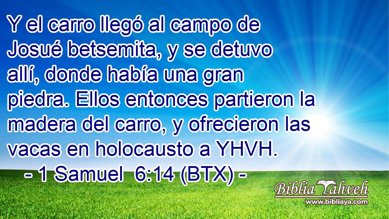 Y el carro llegó al campo de Josué betsemita, y se detuvo allí, donde había una gran piedra. Ellos entonces partieron la madera del carro, y ofrecieron las vacas en holocausto a YHVH.