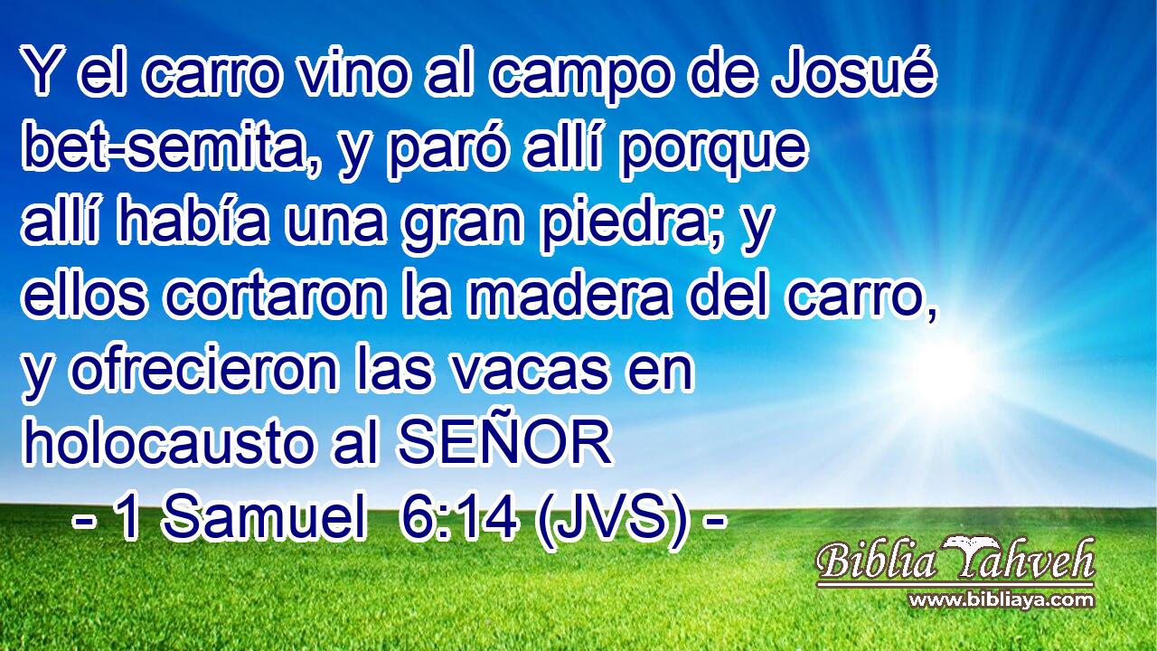 Y el carro vino al campo de Josué bet-semita, y paró allí porque allí había una gran piedra; y ellos cortaron la madera del carro, y ofrecieron las vacas en holocausto al SEÑOR