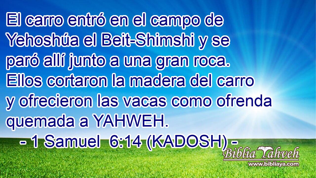  El carro entró en el campo de Yehoshúa el Beit-Shimshi y se paró allí junto a una gran roca. Ellos cortaron la madera del carro y ofrecieron las vacas como ofrenda quemada a YAHWEH. 