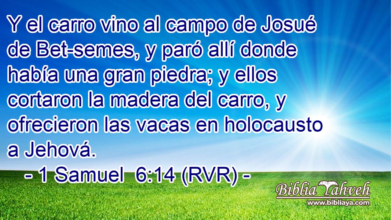 Y el carro vino al campo de Josué de Bet-semes, y paró allí donde había una gran piedra; y ellos cortaron la madera del carro, y ofrecieron las vacas en holocausto a Jehová.