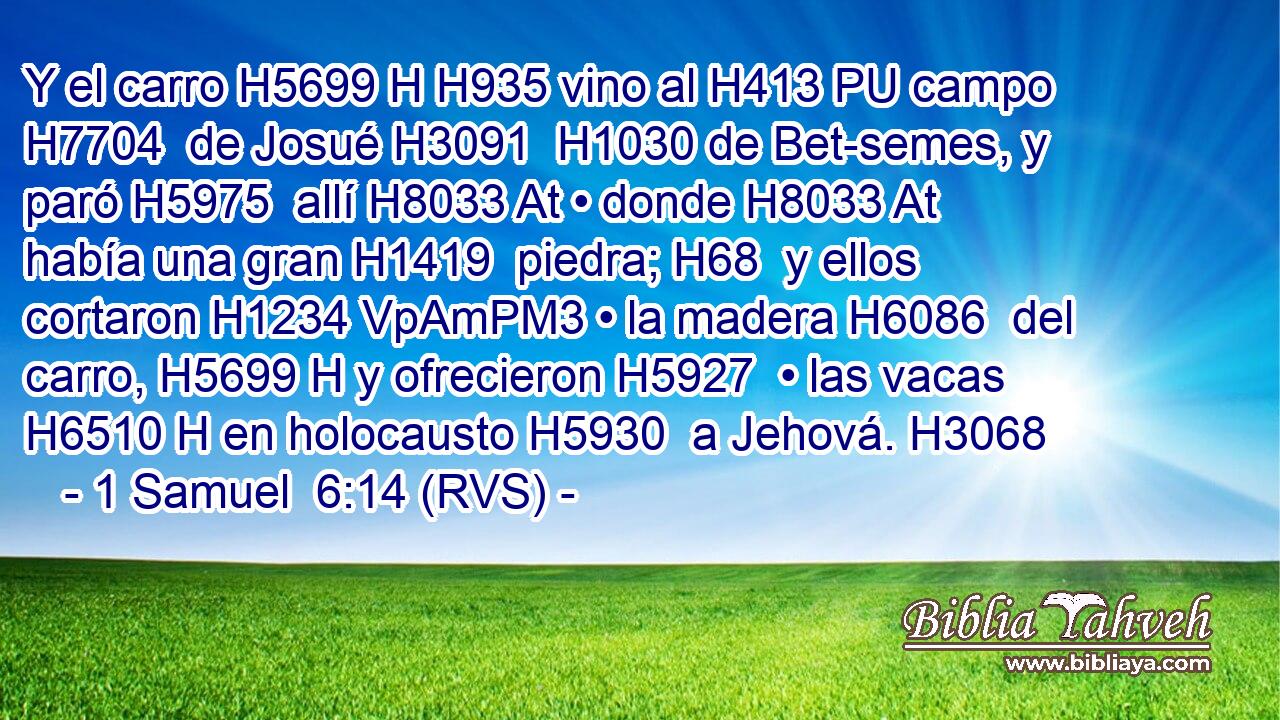 Y el carro H5699 H H935 vino al H413 PU campo H7704  de Josué H3091  H1030 de Bet-semes, y paró H5975  allí H8033 At • donde H8033 At había una gran H1419  piedra; H68  y ellos cortaron H1234 VpAmPM3 • la madera H6086  del carro, H5699 H y ofrecieron H5927  • las vacas H6510 H en holocausto H5930  a Jehová. H3068  