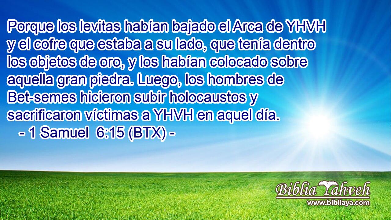Porque los levitas habían bajado el Arca de YHVH y el cofre que estaba a su lado, que tenía dentro los objetos de oro, y los habían colocado sobre aquella gran piedra. Luego, los hombres de Bet-semes hicieron subir holocaustos y sacrificaron víctimas a YHVH en aquel día.